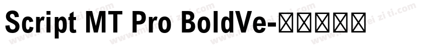 Script MT Pro BoldVe字体转换